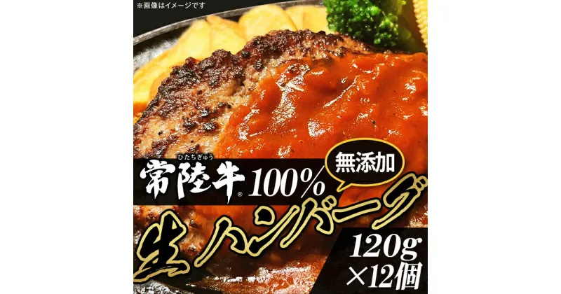 【ふるさと納税】牛肉 黒毛和牛 常陸牛 ハンバーグ 冷凍 国産 贅沢 生ハンバーグ120g×12個【常陸牛】100％