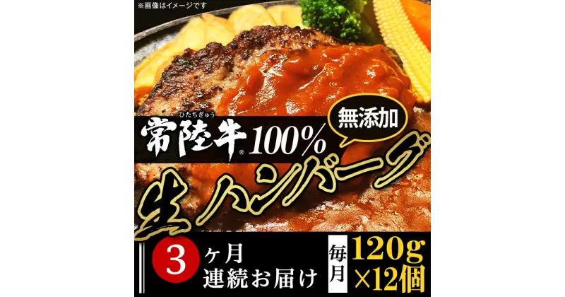 【ふるさと納税】定期便 3回 牛肉 黒毛和牛 常陸牛 ハンバーグ 冷凍 国産 贅沢 生ハンバーグ120g×12個【常陸牛】100％【3ヶ月連続お届け】