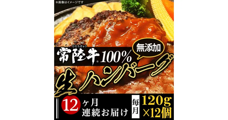 【ふるさと納税】定期便 12回 牛肉 黒毛和牛 常陸牛 ハンバーグ 冷凍 国産 贅沢 生ハンバーグ120g×12個【常陸牛】100％【12ヶ月連続お届け】