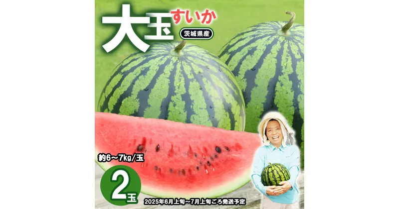 【ふるさと納税】茨城県産大玉すいか2玉セット（約6～7kg/玉）先行予約【2025年6月上旬～7月上旬ごろ発送予定】おすすめ 茨城県産 人気 フルーツ 果物 くだもの スイカ 西瓜