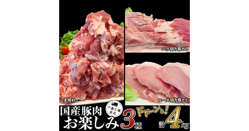 【ふるさと納税】肉 豚肉 国産 3種 4kg 小分け 250g×16パック 冷凍 真空 お楽しみ セット こま切れ ロース バラ 切り落とし 小間 コマ 便利 57-22国産豚肉お楽しみ3種セット4kg（250g×16パック/小分け真空包装）【下妻工場直送】マルリン