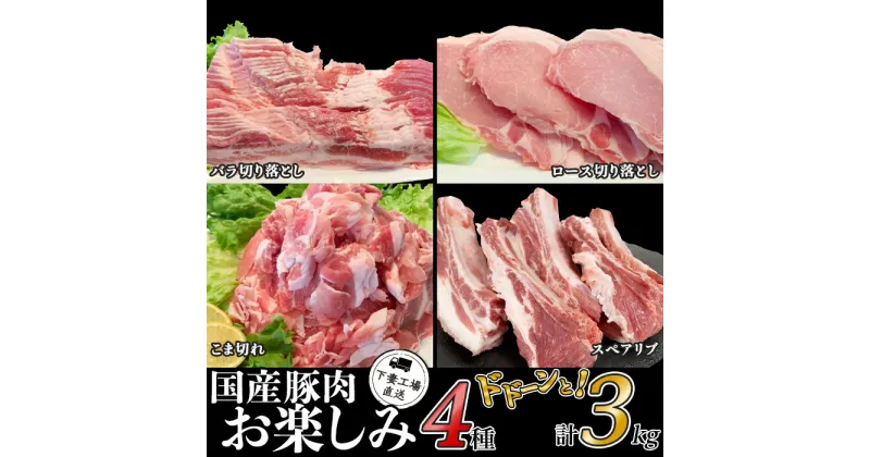 【ふるさと納税】肉 豚肉 国産 4種 3kg 小分け 冷凍 真空 お楽しみ セット こま切れ スペアリブ ロース バラ 切り落とし 小間 コマ 便利 1kg 500g 250g 57-23国産豚肉お楽しみ4種セット3kg（小分け真空包装）【下妻工場直送】マルリン