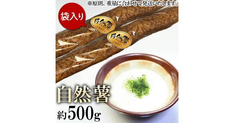 【ふるさと納税】自然薯 約500g(カット済)【※重量（約500g）に合わせてお届け】【2024年12月～2025年3月ごろ発送予定】【 山芋 やまいも とろろ 人気 おすすめ 自然薯 ごはん 米 蕎麦 】