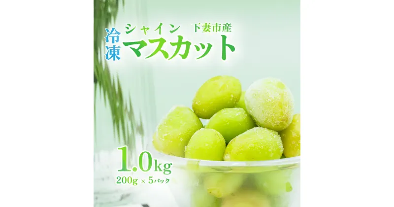 【ふるさと納税】【訳あり】冷凍シャインマスカット約1kg（約200g×5パック） 冷凍食品 真空パック 国産 皮ごと食べられる種なしぶどう ぶどう 果物 フルーツ ギフト 簡単 便利グレープ おすすめ 人気 デザート おやつ【TV等で話題の凍眠（急速冷凍）1万円】