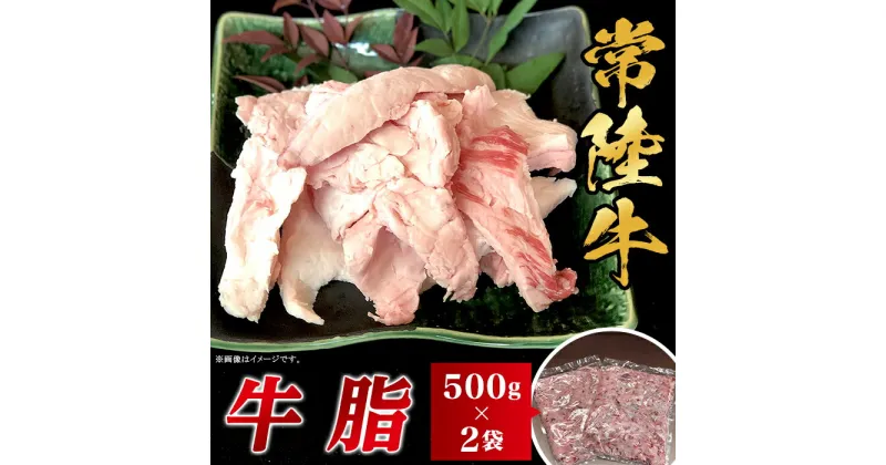 【ふるさと納税】油 食品 甘み 旨み 和牛 常陸牛 牛脂 1kg 500g×2袋 茨城県産 ブランド和牛 66-97