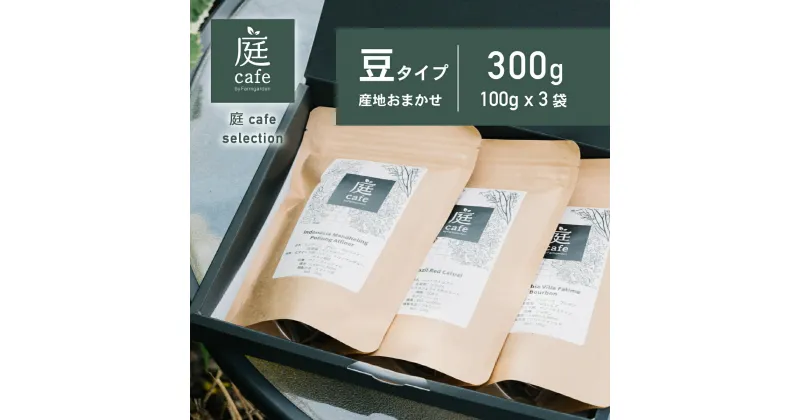 【ふるさと納税】庭Cafe おすすめコーヒー豆　100g×3種【コーヒー 自家焙煎 焙煎 コーヒー豆 おすすめ ギフト 珈琲】