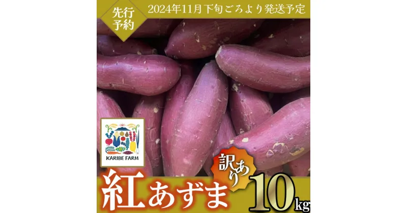 【ふるさと納税】【先行予約】【訳あり】茨城県産 さつまいも 「紅あずま」 10kg【2024年11月下旬ごろ順次発送】【さつまいも 紅あずま 甘い ほくほく サツマイモ 焼き芋 芋 大容量 茨城県産 焼き芋 スイートポテト レシピ】