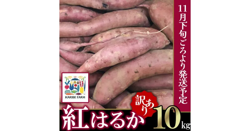 【ふるさと納税】【先行予約】【訳あり】茨城県産 さつまいも 「紅はるか」 10kg【2024年11月下旬ごろ順次発送】【さつまいも 紅あずま 甘い ねっとり サツマイモ 焼き芋 芋 大容量 茨城県産 焼き芋 スイートポテト レシピ】