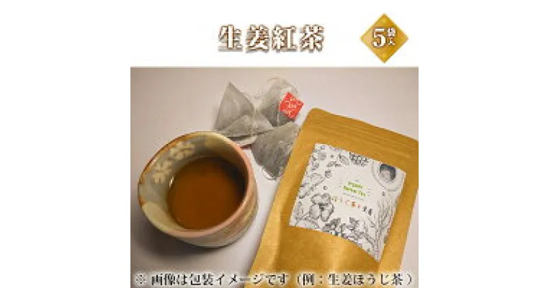 【ふるさと納税】生姜紅茶 飲料類 お茶 紅茶 生姜紅茶