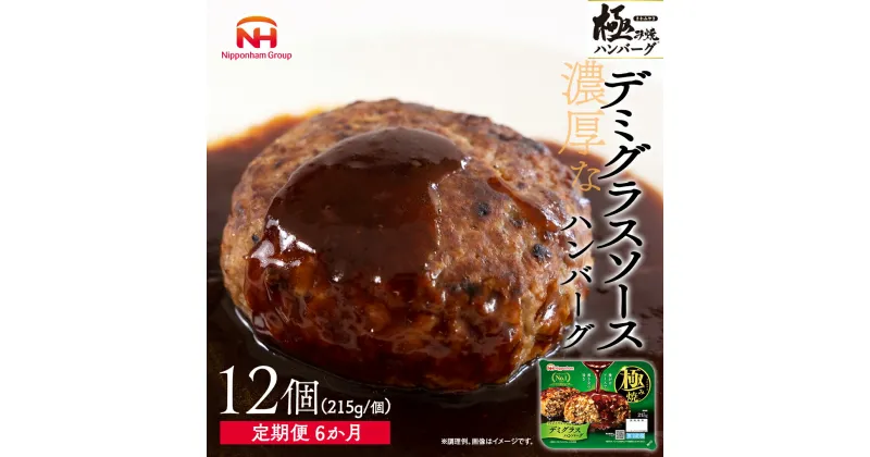 【ふるさと納税】極み焼きハンバーグ（デミグラスソース）セット定期便6か月 定期便