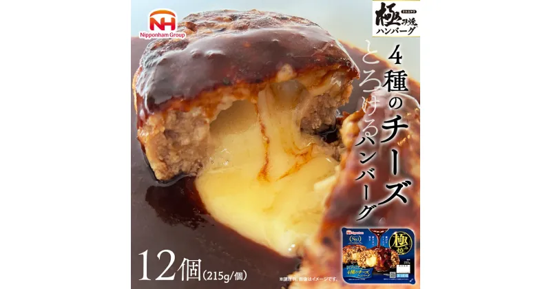 【ふるさと納税】極み焼きハンバーグ（4種のチーズソース）セット 加工食品 惣菜 レトルト