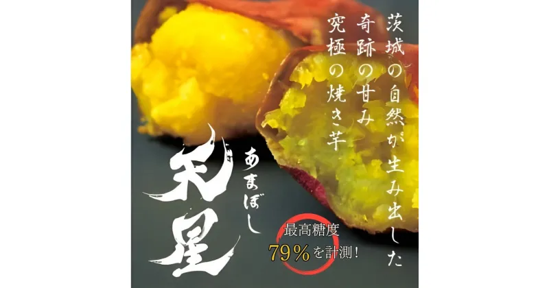 【ふるさと納税】さつまいも 紅はるか 冷凍焼き芋1500g 天星（あまぼし）メディア 芋蜜