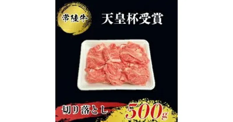 【ふるさと納税】【天皇杯受賞】常陸牛 切り落とし500g