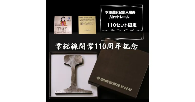 【ふるさと納税】水海道駅記念入場券カットレールセット 常総線開業110周年記念 110セット限定