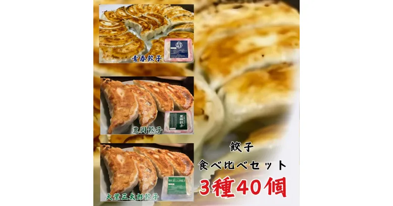 【ふるさと納税】餃子専門店青春餃子 餃子食べ比べセット 3種40個