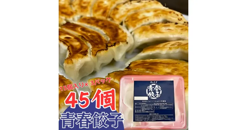 【ふるさと納税】餃子専門店青春餃子のもちもち肉汁餃子15個入り×3パック 45個