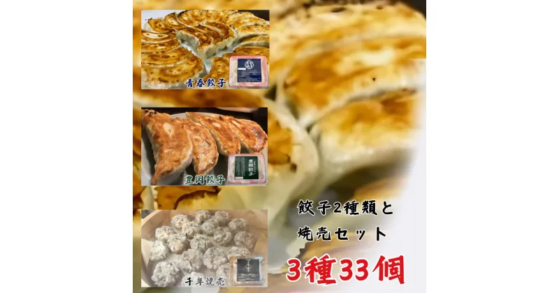 【ふるさと納税】餃子専門店青春餃子 餃子2種類と焼売セット 3種33個