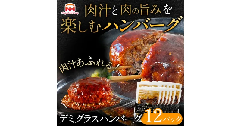 【ふるさと納税】肉汁あふれるデミグラスハンバーグ12個入　日本ハム 冷凍 個食 使い切り 湯煎 牛肉 豚肉