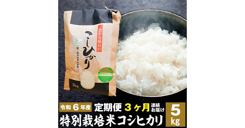 【ふるさと納税】「定期便3ヶ月連続お届け」新米「令和六年産」特別栽培米 コシヒカリ 5kg 定期便 お米 コシヒカリ 3ヶ月お届け 新米 米 お米 コメ こめ 精米 ライス 白米 炭水化物 ご飯 主食 食卓 おにぎり お弁当 茨城県産