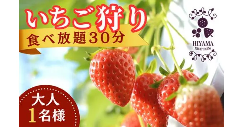 【ふるさと納税】いちご狩り 食べ放題30分 大人1名様 チケット｜茨城県 常陸太田 香り 大粒 いちご いちご狩り高床式 腰 かがまない フルーツ イチゴ 新鮮 糖度 酸味 バランス 濃厚 味わい 品種 甘い サクサク やよいひめ 果肉 まろやかな 苺 品質 健康 果物 デザート 人気