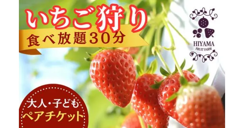 【ふるさと納税】いちご狩り 食べ放題30分 ペアチケット 大人1名、子供1名｜ 茨城県 常陸太田 香り 大粒 いちご いちご狩り高床式 腰 かがまない フルーツ イチゴ 新鮮 糖度 酸味 バランス 濃厚 味わい 品種 甘い サクサク やよいひめ 果肉 まろやかな 品質 健康 果物