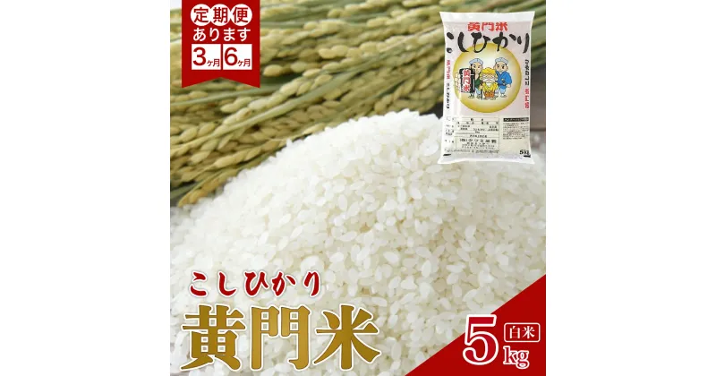 【ふるさと納税】新米 2週間以内発送 令和6年産 黄門米 コシヒカリ 精米5kg 選べる定期便 3カ月 6カ月 | 茨城県 常陸太田市 タツミ米穀 お米 白米 地元産 黄門米 令和6年産 ブランド米 ツヤツヤ もっちり ふっくら 甘み 柔らかい 美味しい ご飯 おむすび お取り寄せ 贈答