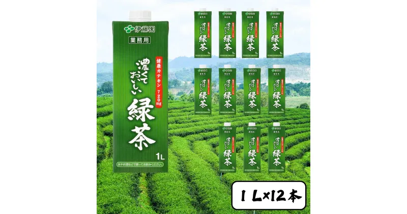 【ふるさと納税】濃くておいしいお茶 2ケース (1L×12本入り) | 茨城県 常陸太田市 茶 お茶 日本茶 緑茶 グリーンティー ドリンク 濃い 濃度 カテキン 健康 おいしい アイスティー 氷 緑茶割り お茶ハイ お酒 割材 業務用 紙パック 伊藤園