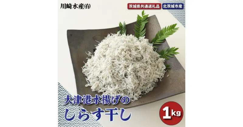 【ふるさと納税】大津港水揚げのしらす干し 1kg（茨城県共通返礼品・北茨城市産）