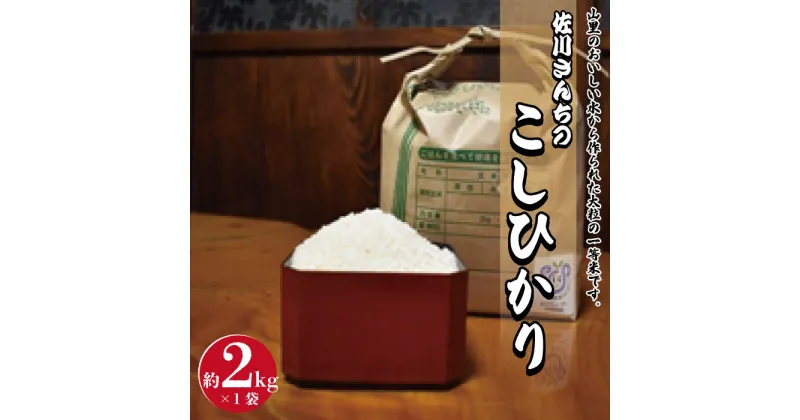 【ふるさと納税】佐川さんちのこしひかり米　2Kg【令和6年度産】