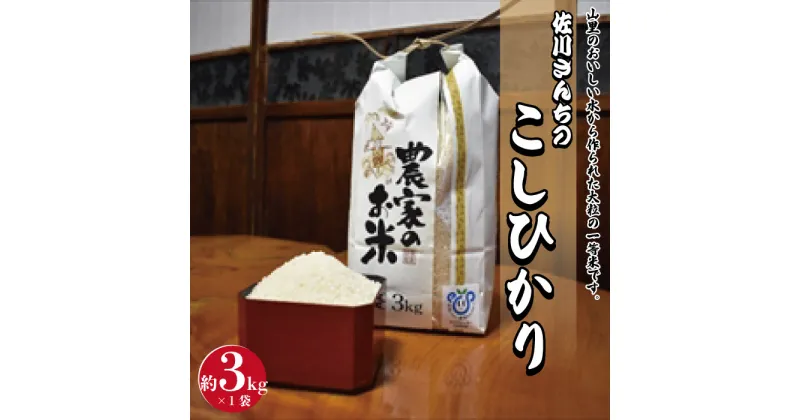 【ふるさと納税】佐川さんちのこしひかり米　3Kg【令和6年度産】