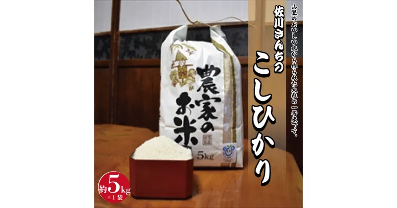 【ふるさと納税】佐川さんちのこしひかり米 5Kg【令和6年度産】