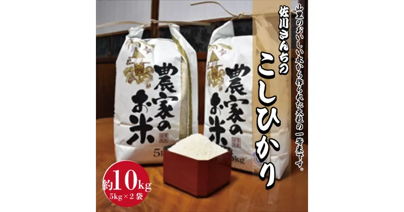 【ふるさと納税】佐川さんちのこしひかり米 10Kg【令和6年度産】