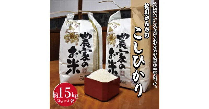 【ふるさと納税】佐川さんちのこしひかり米 15Kg【令和6年度産】