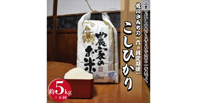 【ふるさと納税】【6ヶ月定期便】佐川さんちのこしひかり米　5Kg