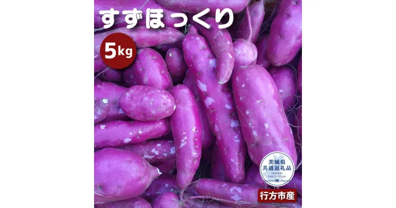 【ふるさと納税】さつまいも「すずほっくり」5kg（茨城県共通返礼品・行方市産）