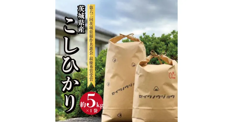 【ふるさと納税】【令和6年度】茨城県産 コシヒカリ お米 米 こしひかり 高萩 誠和農場 5kg