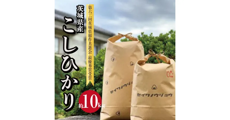 【ふるさと納税】【令和6年度】茨城県産 コシヒカリ お米 米 こしひかり 高萩 誠和農場10kg