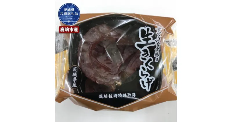 【ふるさと納税】きくらげ　1パック50g×36パック（茨城県共通返礼品・鹿嶋市産） きくらげ 日本トップクラス ハラキン 手作業 鹿嶋市産 茨城県 高萩市