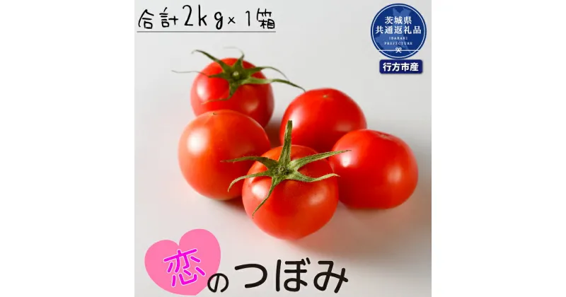 【ふるさと納税】トマト　恋のつぼみ　2kg（茨城県共通返礼品・行方市産）