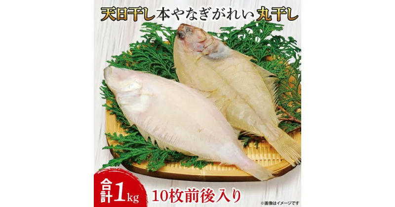 【ふるさと納税】天日干 本やなぎがれい干 1kg（AI004）