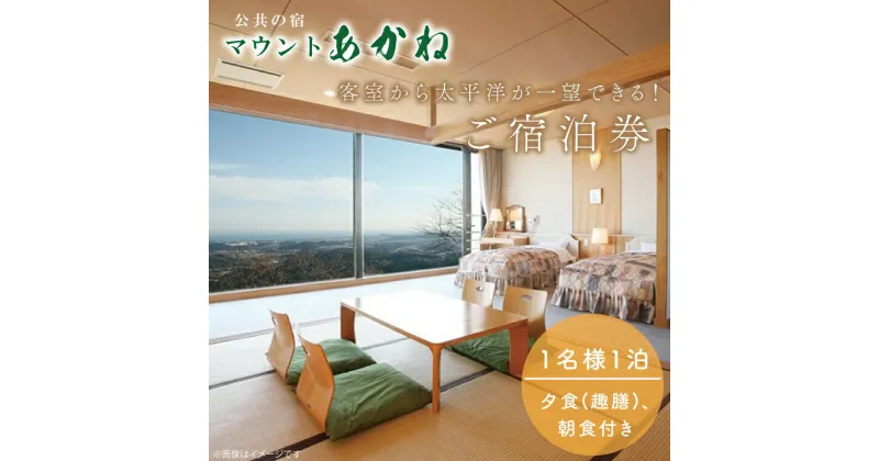 【ふるさと納税】客室から太平洋が一望できる！公共の宿マウントあかね【1名様1泊2食ご宿泊券】★和室8畳　趣膳★（AB001）