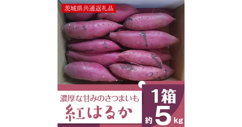 【ふるさと納税】【先行予約】【11月発送】濃厚な甘みさつまいも 紅はるか5kg（茨城県共通返礼品・行方市産）（AK001）