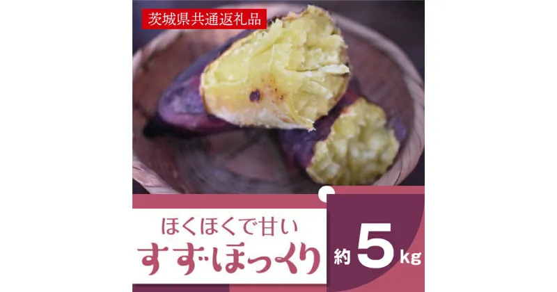 【ふるさと納税】　【先行予約】【11月発送】ホクホクで甘いさつまいも すずほっくり5kg（茨城県共通返礼品・行方市産）（AK005）