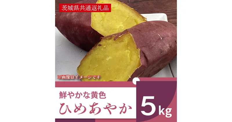 【ふるさと納税】鮮やかな黄色のさつまいも ひめあやか5kg（茨城県共通返礼品・行方市産）（AK007）