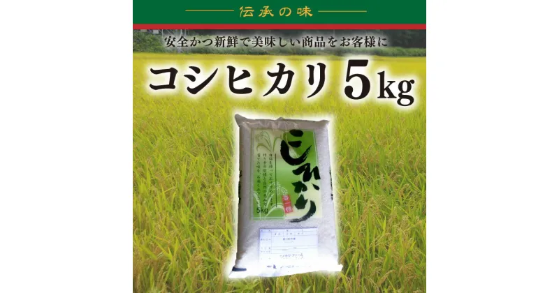 【ふるさと納税】【令和6年産新米】コシヒカリ　5kg【新米　有機栽培　安心　美味しい　おにぎり　10000円以下】(BD002)