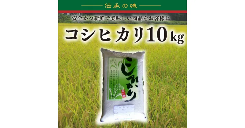 【ふるさと納税】【【令和6年産新米】コシヒカリ　10kg【新米　有機栽培　安心　美味しい　おにぎり　20000円以下】(BD003-1)