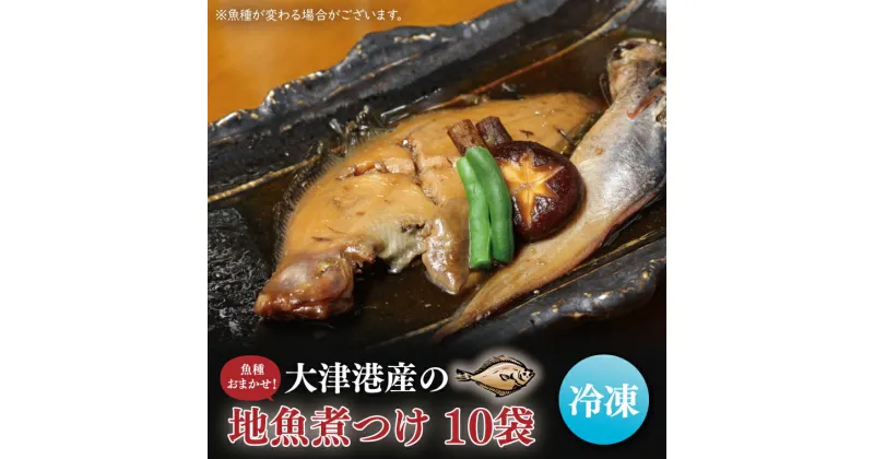 【ふるさと納税】【期間限定】【内容量倍増】大津港産の地魚煮つけ10袋（魚種おまかせ）（AA011）