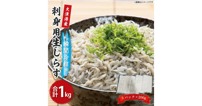 【ふるさと納税】【訳あり】瞬間冷結！刺身用生しらす【大津港産】（AA012）