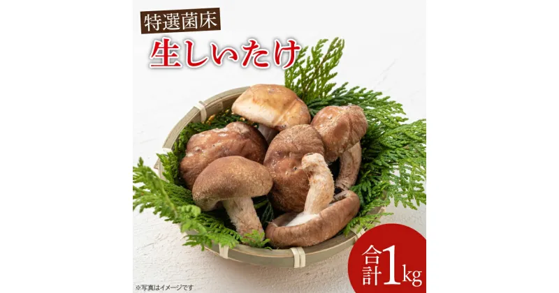 【ふるさと納税】特選菌床生しいたけ1kg（CE002）