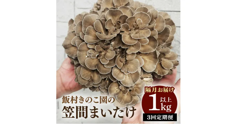 【ふるさと納税】 【3回定期便 】まいたけ 約1kg以上 飯村きのこ園の笠間まいたけ 隔月3回お届け